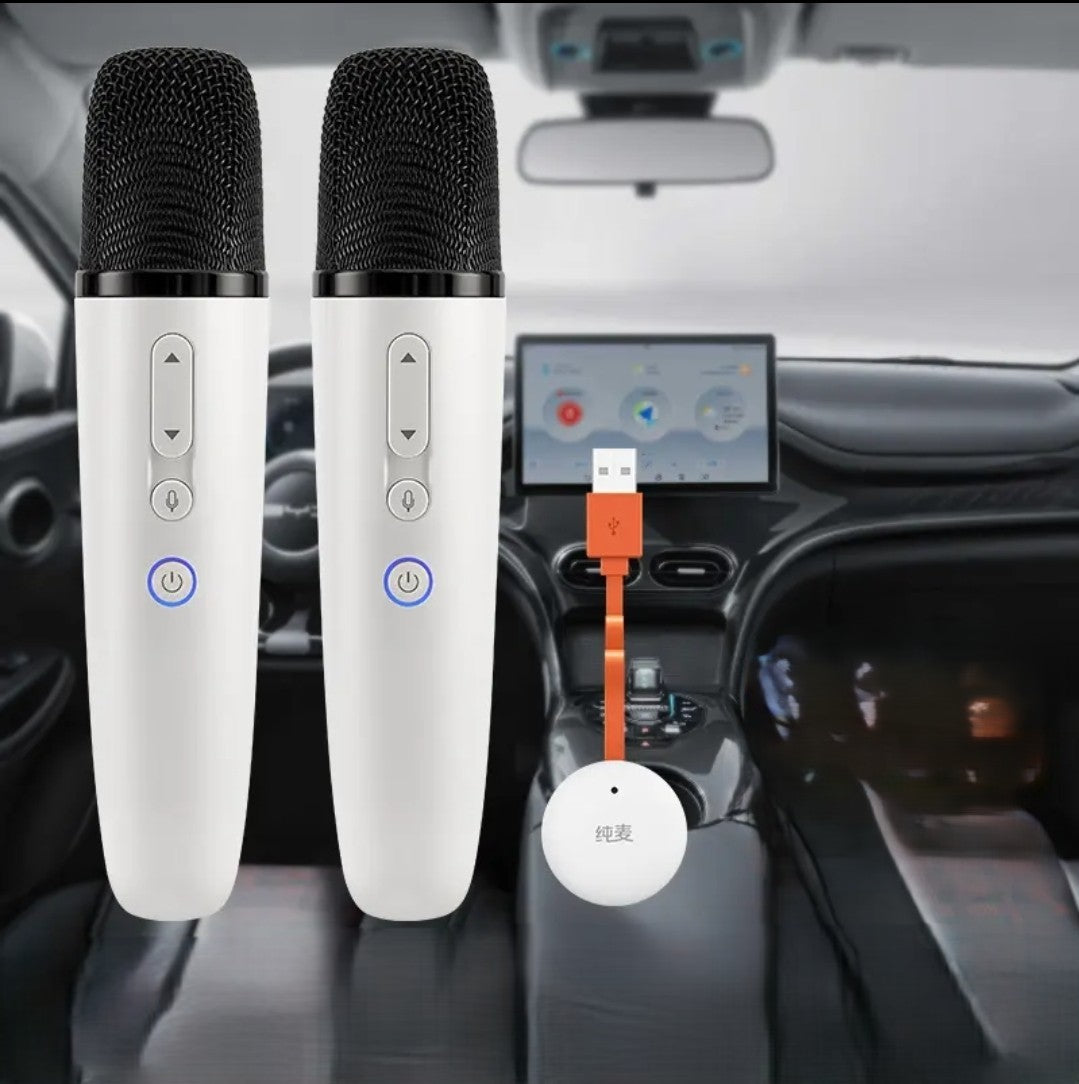 Wireless Car Karaoke Microphone for Xpeng G6/G9/P5/P7/M03 USB Connection