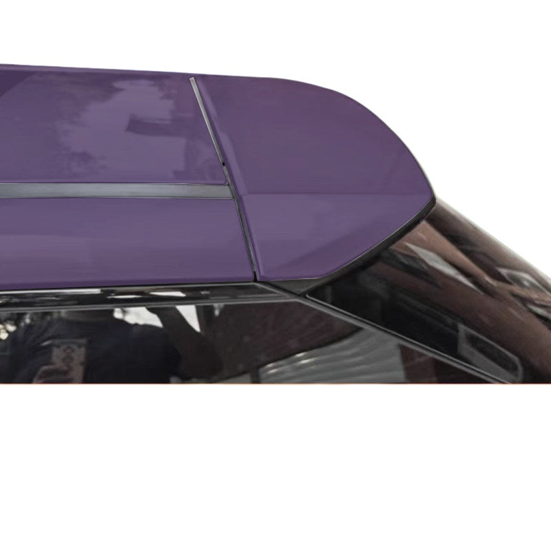 Sports Wing for XPENG X9