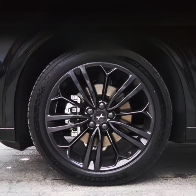 XPENG G6 Wheel Rim Cover Hub Caps  (20PCS) - Xpeng Accessories