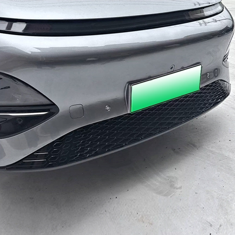 XPENG G6 Lower Bumper Insect Net