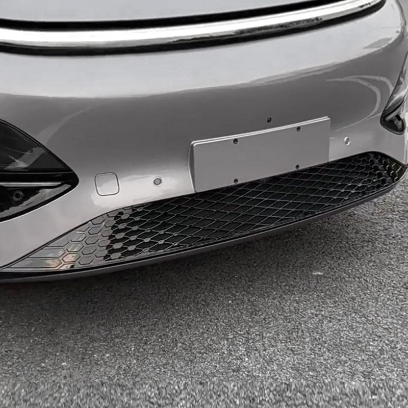 XPENG G6 Lower Bumper Insect Net