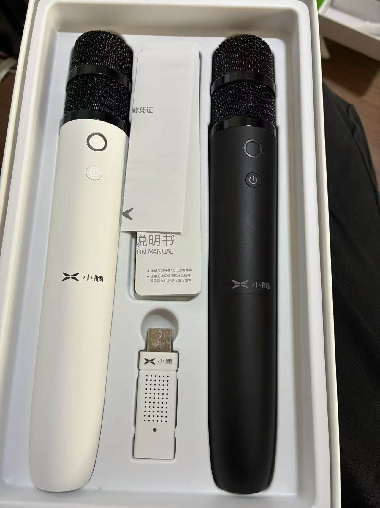 Wireless Car Karaoke Microphone for Xpeng G6/G9/P5/P7/M03 USB Connection
