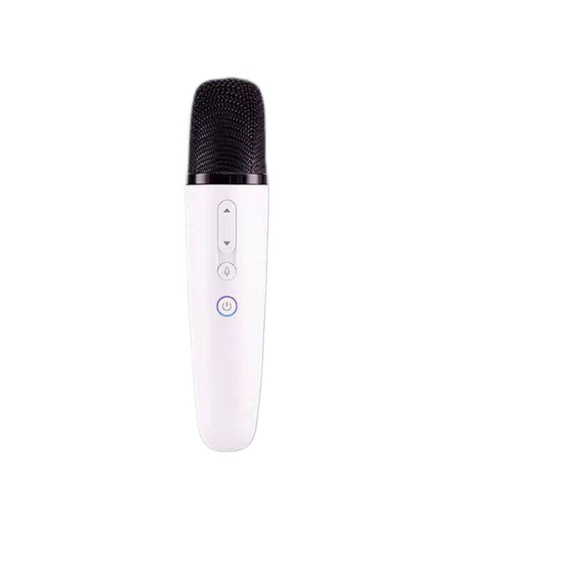 Wireless Car Karaoke Microphone for Xpeng G6/G9/P5/P7/M03 USB Connection